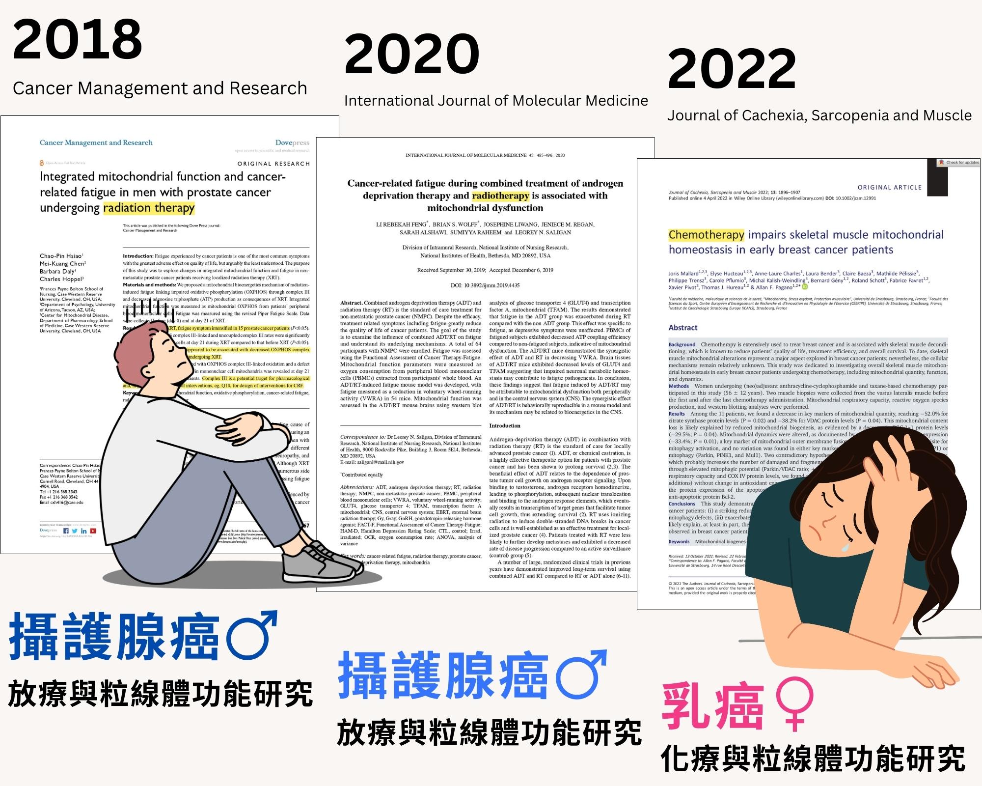 化療第幾針最辛苦 粒線體功能研究